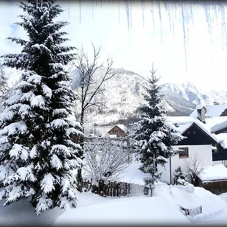 招待所 Bergfried 哈尔施塔特