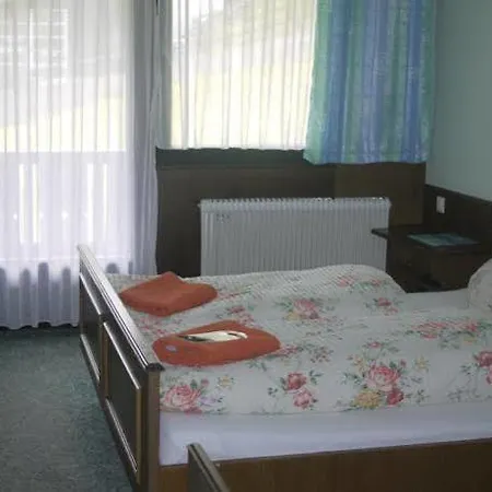 Bergfried 招待所 哈尔施塔特